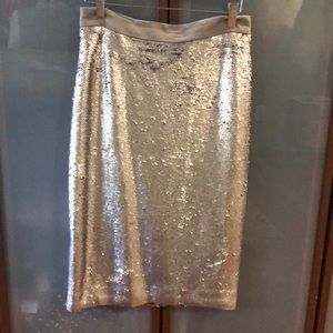 Banana Republic sequence skirt